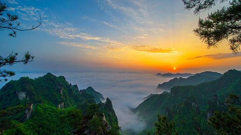 張家界森林公園（金鞭溪、袁家界、楊家界、天子山、十里畫廊）住山上2天1游（可看日出）